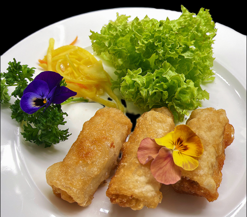 Croquettes nems vietnamiennes